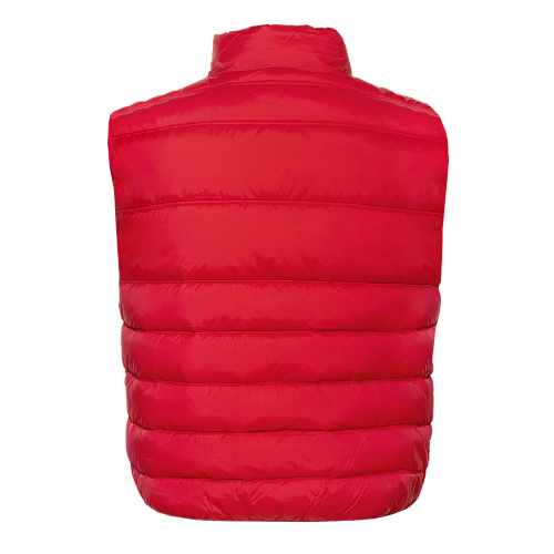 Жилет мужской утепленный таффета 210T, 200гр. плотности (арт. REX82)