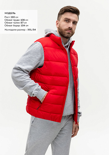 Жилет мужской утепленный таффета 210T, 200гр. плотности (арт. REX82)